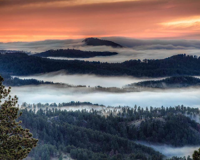 Black-Hills-SD/800x600_view from Terry Peak.jpg